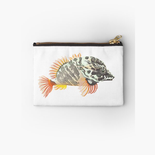 Item preview, Grunt Sculpin (Rhamphocottus richardsonii) designed and sold by SeaMonstress.