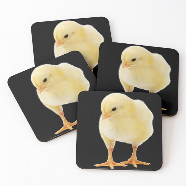 Item preview, Yellow chick on a white or colors background.  designed and sold by Photorebelle.
