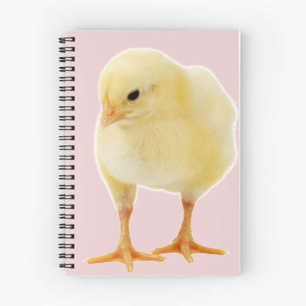 Item preview, Yellow chick on a white or colors background.  designed and sold by Photorebelle.