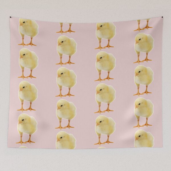 Item preview, Yellow chick on a white or colors background.  designed and sold by Photorebelle.