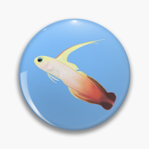 Item preview, Fire Dartfish (Nemateleotris magnifica) designed and sold by SeaMonstress.