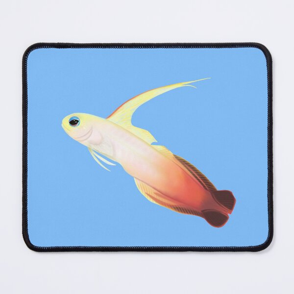 Item preview, Fire Dartfish (Nemateleotris magnifica) designed and sold by SeaMonstress.