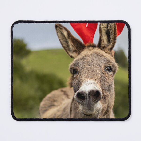 Item preview, Christmas season, donkey with decoration, funny and cute animal. designed and sold by AylaHarbich.