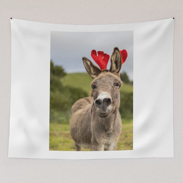 Item preview, Christmas season, donkey with decoration, funny and cute animal. designed and sold by AylaHarbich.