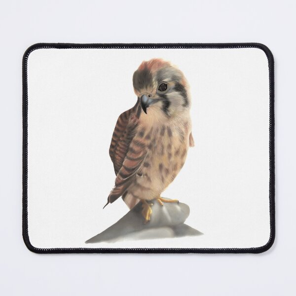 Item preview, American Kestrel designed and sold by SeaMonstress.