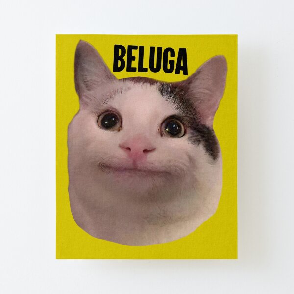 beluga cat discord pfp | Art Board Print