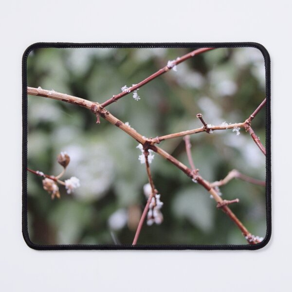 Item preview, Small Tree Branch with Snow in the Winter designed and sold by JariHawk.