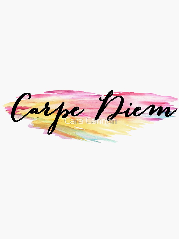 "Carpe Diem Calligraphy" Sticker by notoddbutood Redbubble