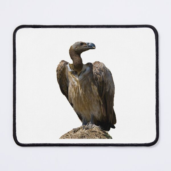 Item preview, Buzzard photo, scavenger, bird of prey,  designed and sold by Nostrathomas66.