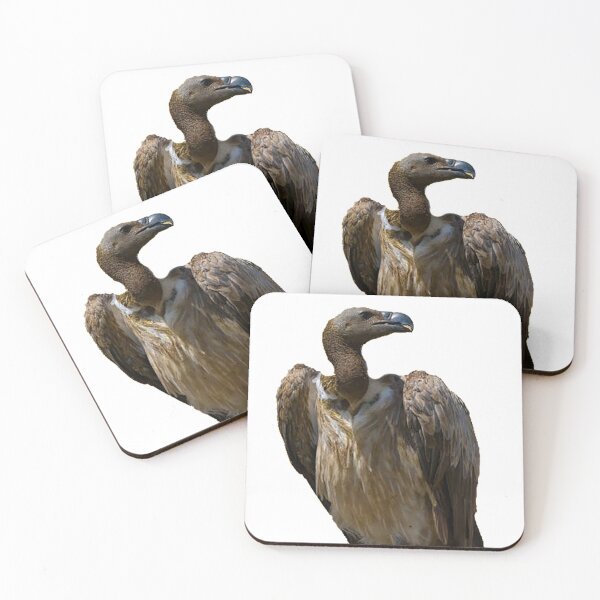 Item preview, Buzzard photo, scavenger, bird of prey,  designed and sold by Nostrathomas66.