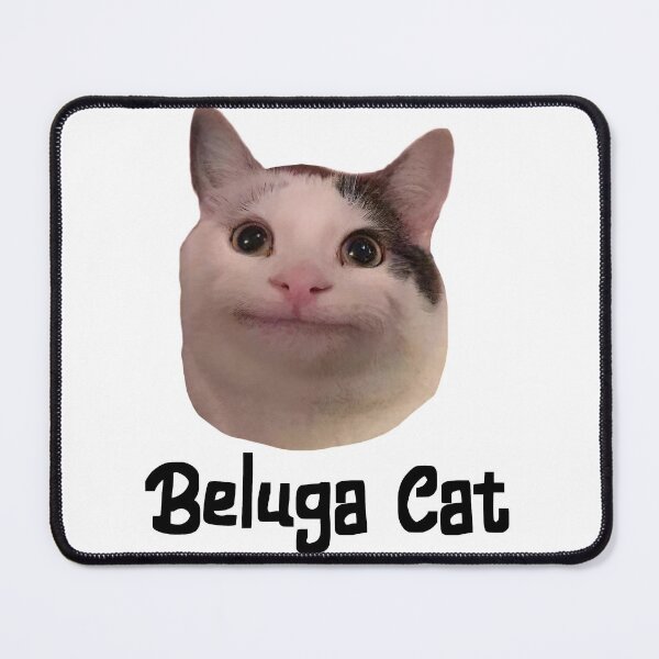 Item preview, beluga cat discord pfp  designed and sold by Stickiii ♡.