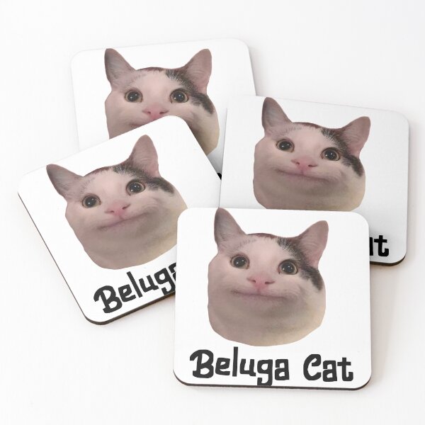 Item preview, beluga gato discordia pfp designed and sold by Stickiii ♡.