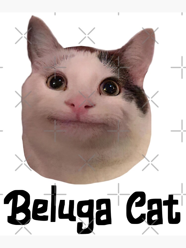 Beluga Cat Discord Pfp Premium Matte Vertical Poster
