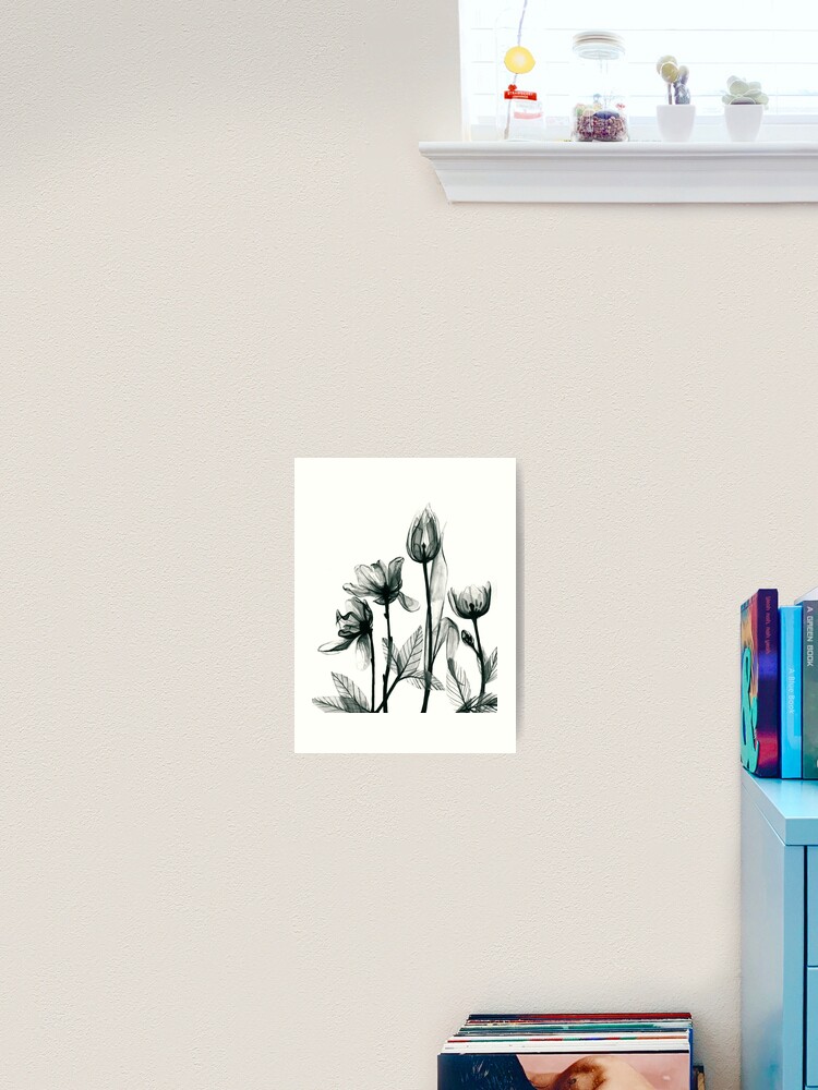 | Flowers for X-Ray by Print Sale Redbubble 2\