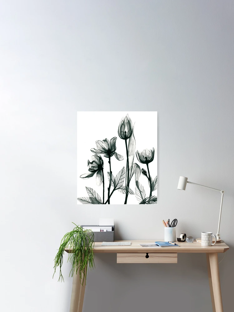 by Ang Frank Poster Redbubble X-Ray for Flowers | 2\