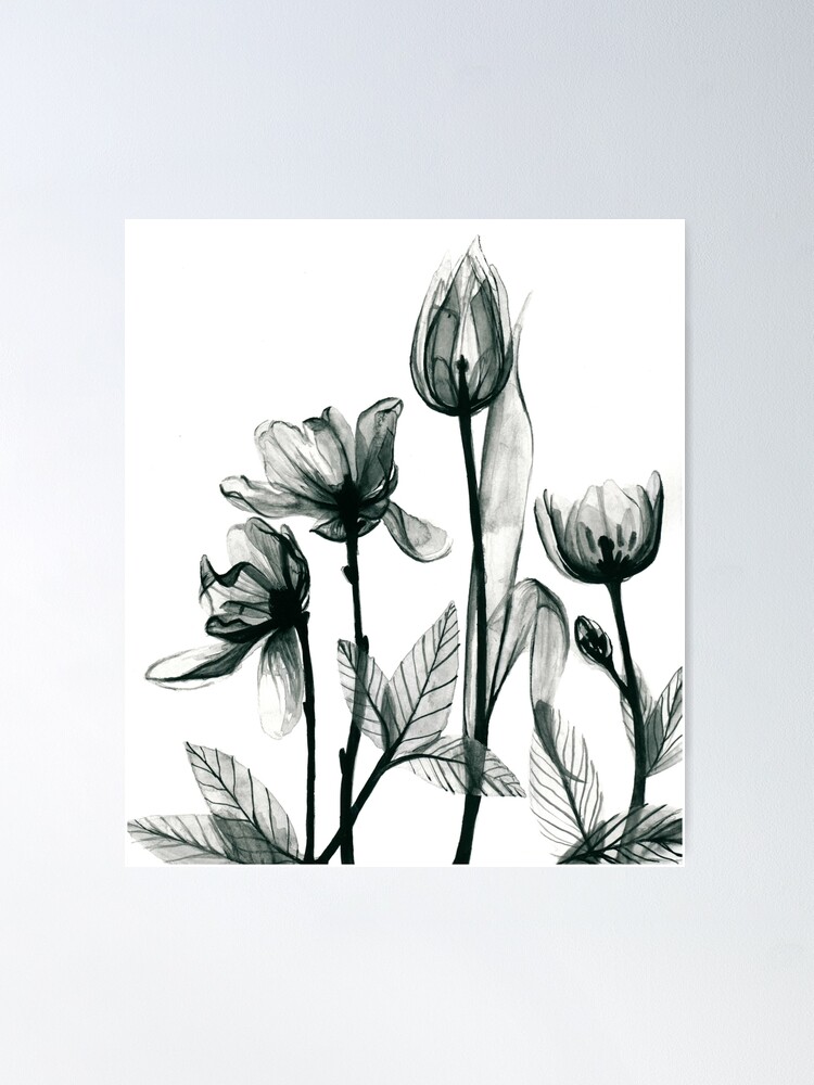 Poster Flowers for Sale Redbubble | X-Ray 2\