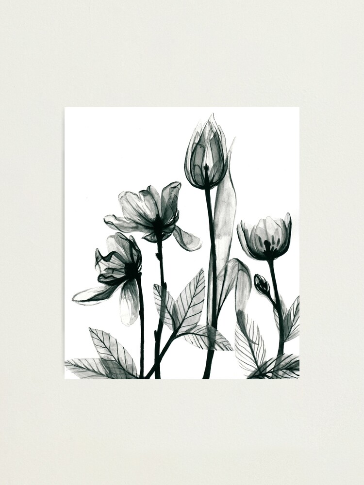 by Frank for | Redbubble Sale X-Ray Print Flowers 2\
