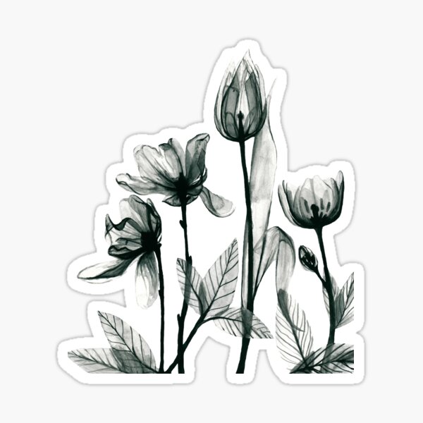 X-Ray Flowers 2 Sticker