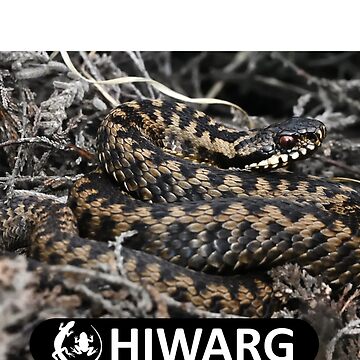 Artwork thumbnail, Adder #1 White Logo by HIWARG