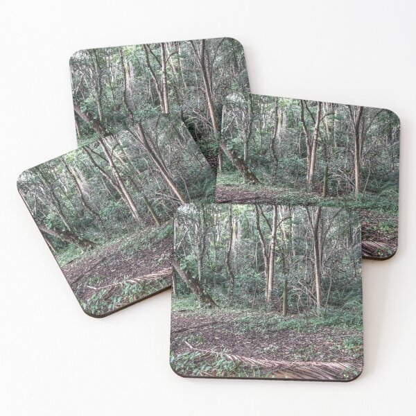 Item preview, clearing in the woods. designed and sold by Nino rocha fotografia.