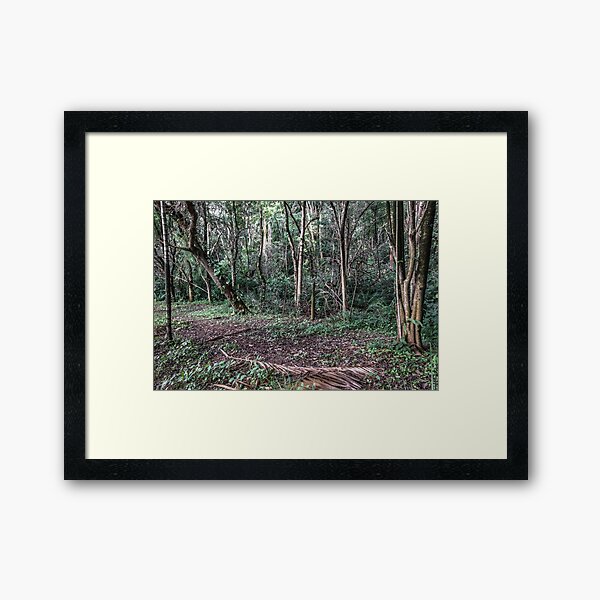 Item preview, clearing in the woods. designed and sold by Nino rocha fotografia.