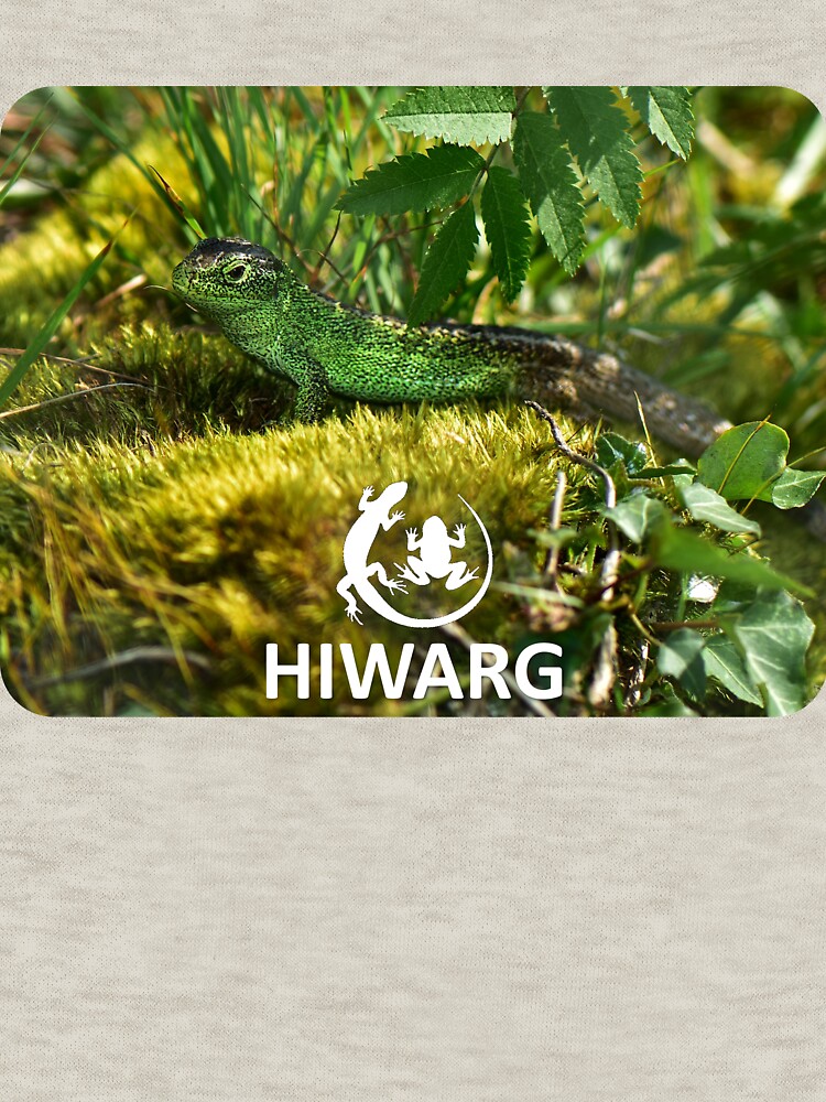 Thumbnail 7 of 7, Classic T-Shirt, Sand Lizard #1 designed and sold by HIWARG.