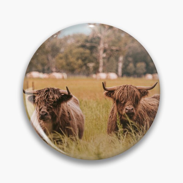 Item preview, Highland Cows Fine Art Image King Valley designed and sold by redkitephotos.