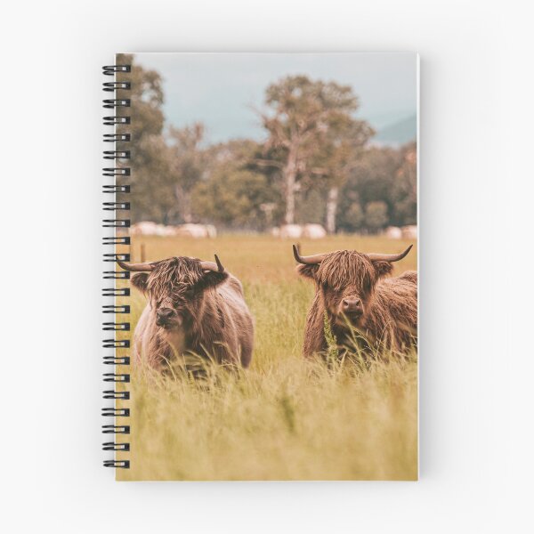 Item preview, Highland Cows Fine Art Image King Valley designed and sold by redkitephotos.