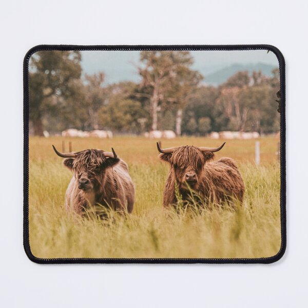 Item preview, Highland Cows Fine Art Image King Valley designed and sold by redkitephotos.