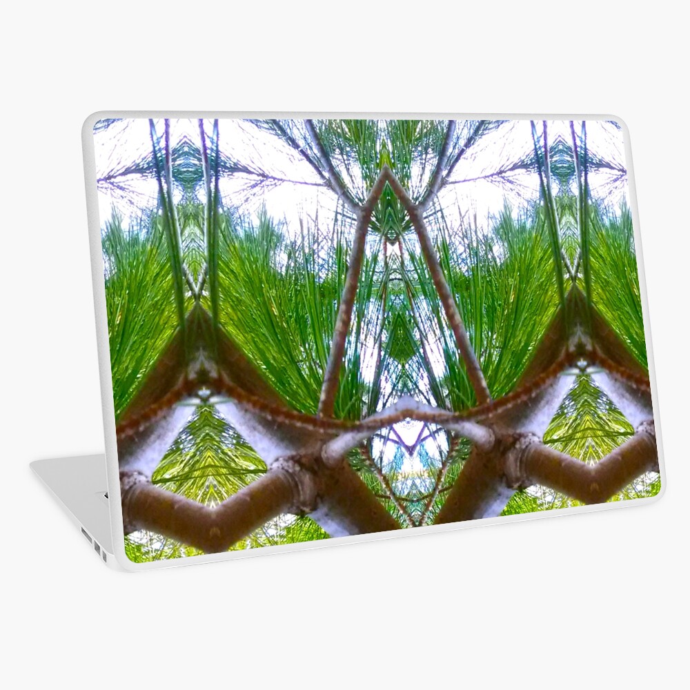 #14 Laptop Skin