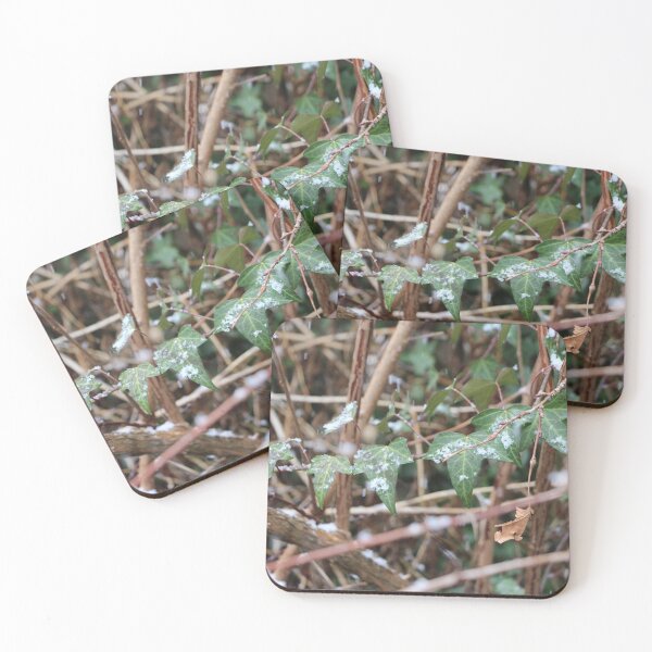 Item preview, English Ivy in the Winter designed and sold by JariHawk.