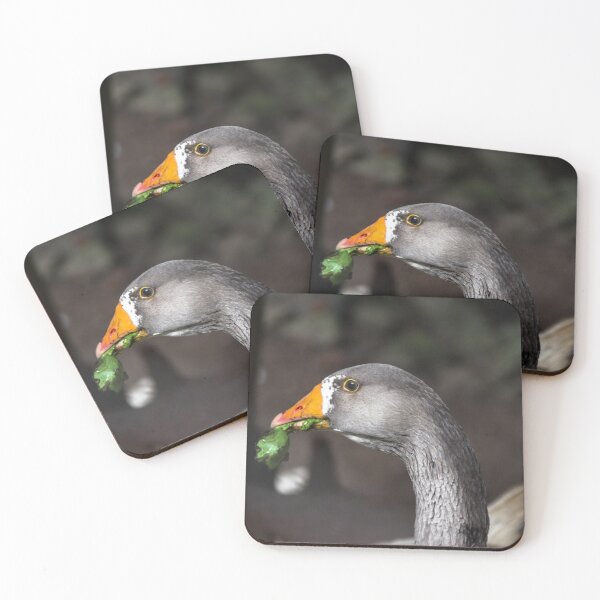 Item preview, nosy goose. designed and sold by Nino rocha fotografia.