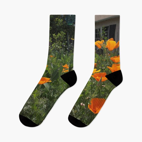 Item preview, California Poppies designed and sold by Douglas E. Welch Design and Photography.