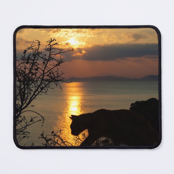 Item preview, Sneaking around at sunset designed and sold by archieswell.