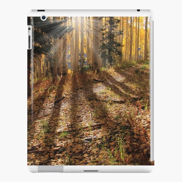 Morning Glory Tablet Case iPad Snap Case