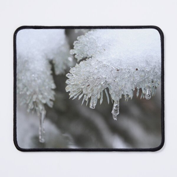 Item preview, Colorado Blue Spruce Tree Branch Covered with Ice and Snow  designed and sold by JariHawk.