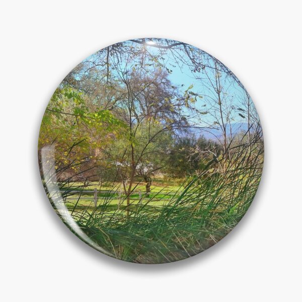 Item preview, Woodland walk in Nevada designed and sold by Timothy Kieper.