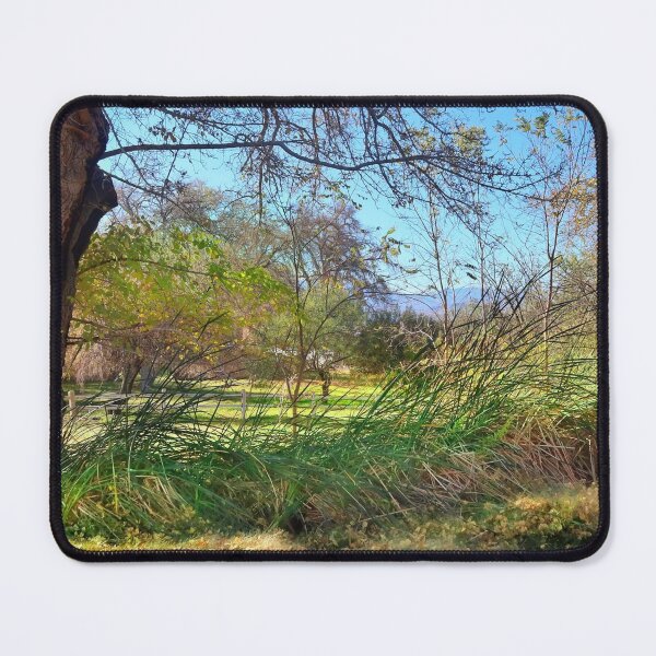 Item preview, Woodland walk in Nevada designed and sold by Timothy Kieper.