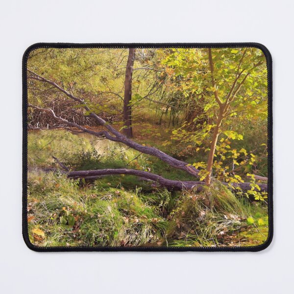 Item preview, Fallen Tree and Woodland Stream designed and sold by Timothy Kieper.