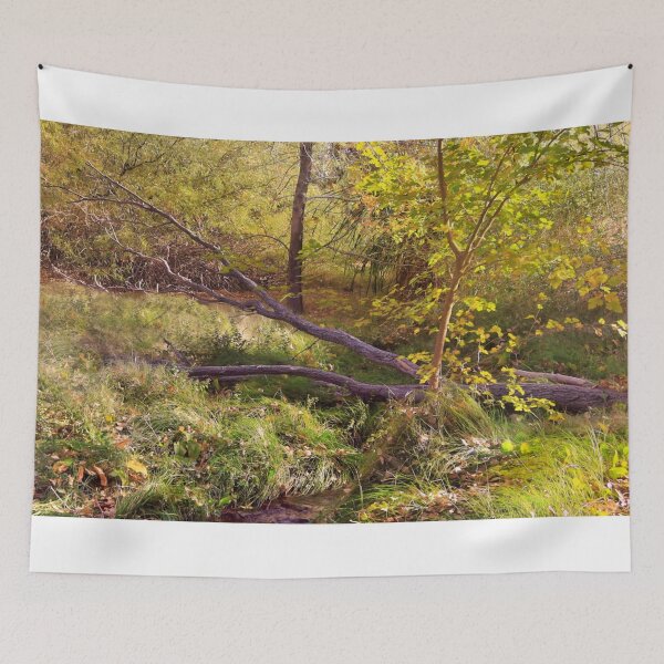 Item preview, Fallen Tree and Woodland Stream designed and sold by Timothy Kieper.