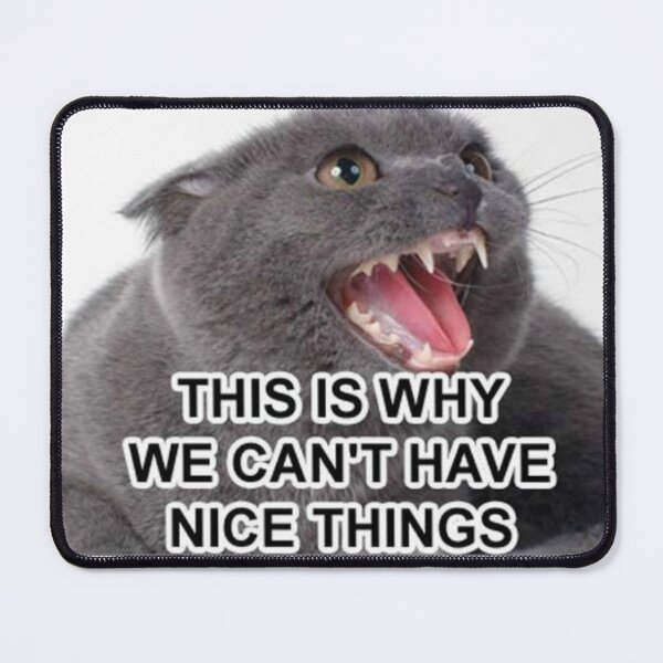 Item preview, This Is Why We Can’t Have Nice Things designed and sold by Meme Economy.