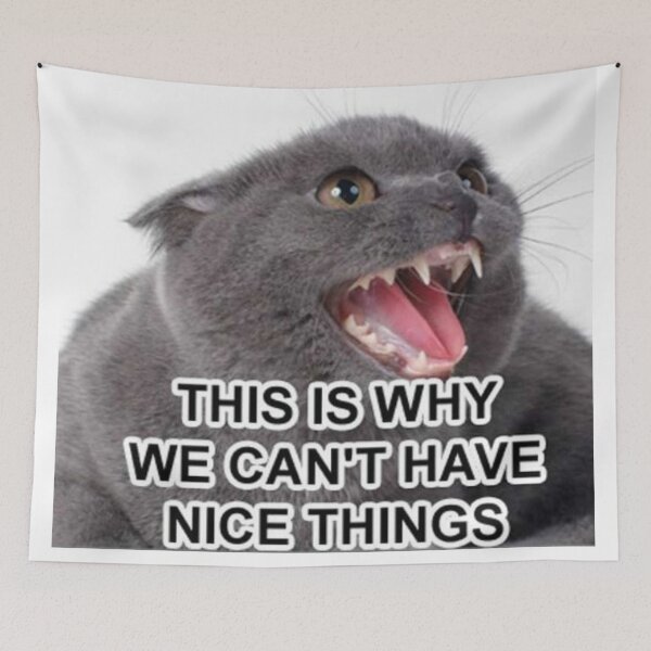 Item preview, This Is Why We Can’t Have Nice Things designed and sold by Meme Economy.