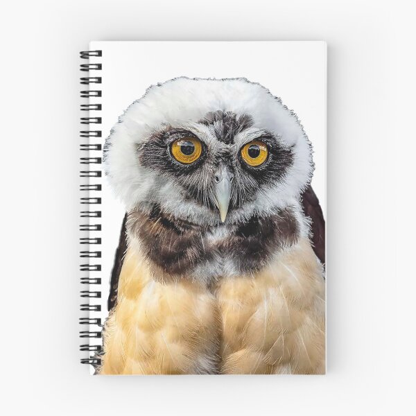Item preview, Spectacled Owl designed and sold by Sandra Belitza-Vazquez.