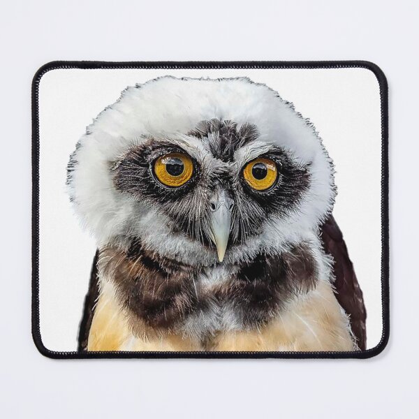 Item preview, Spectacled Owl designed and sold by Sandra Belitza-Vazquez.