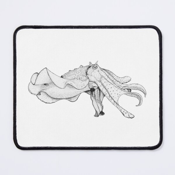 Item preview, Giant cuttlefish designed and sold by SeaMonstress.