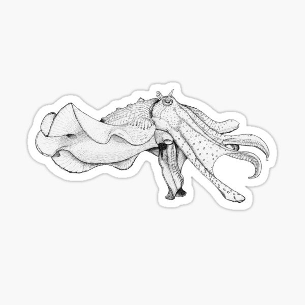Giant cuttlefish Sticker