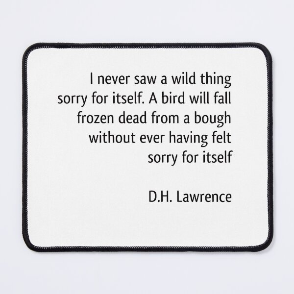 Don't feel sorry Mouse Pad