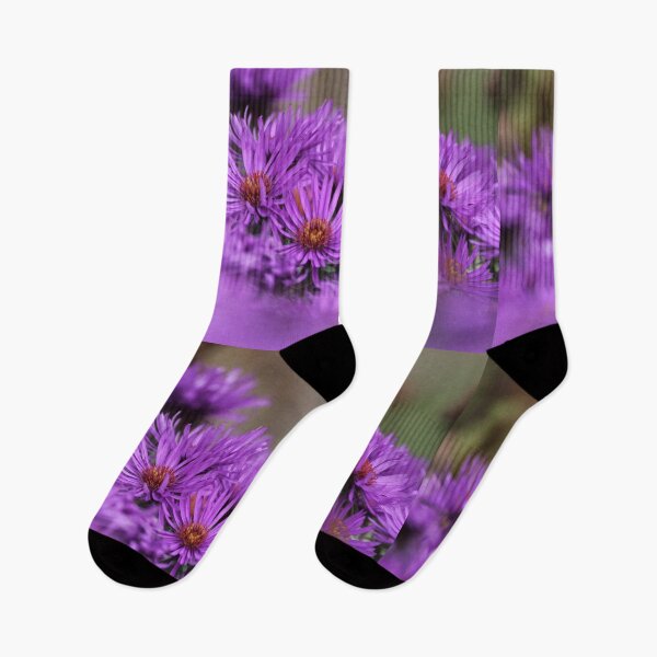 Item preview, New England Aster designed and sold by LisaNaturePhoto.