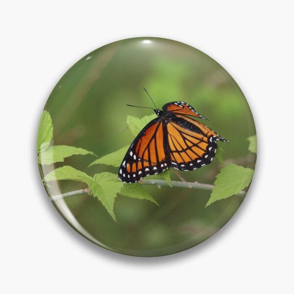 Item preview, Viceroy Beauty designed and sold by LisaNaturePhoto.