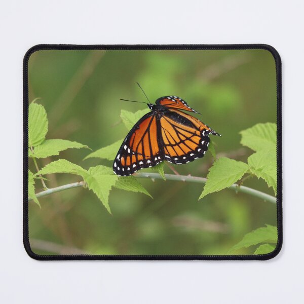 Item preview, Viceroy Beauty designed and sold by LisaNaturePhoto.